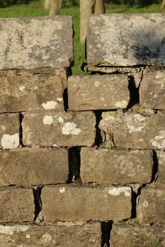 Stone Wall Repair in Ashland, NE